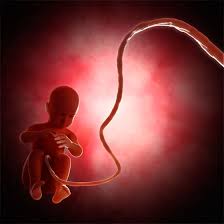 Produto Profissional